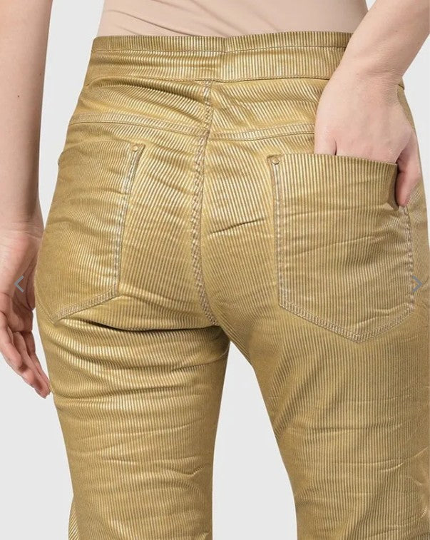 Alembika Pants - Pinstripe Iconic Stretch Jeans, Gold