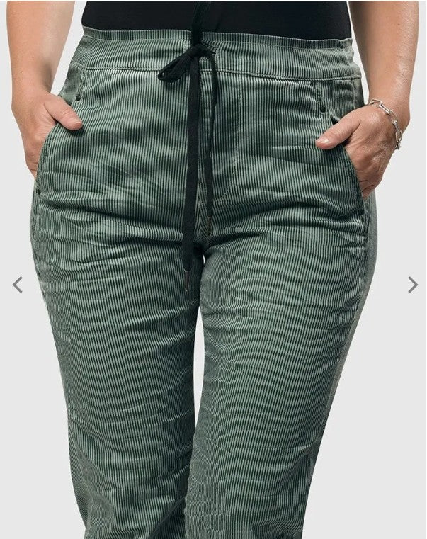 Alembika Pants - Pinstripe Iconic Stretch Jeans, Teal