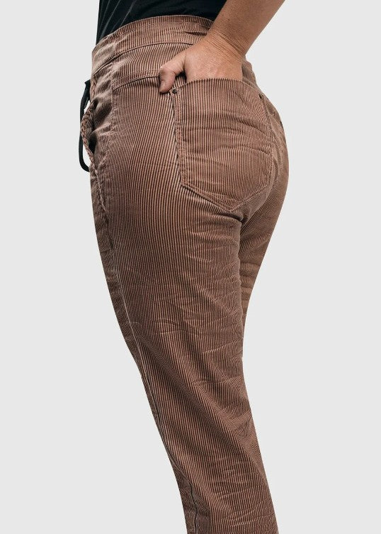 Alembika Pants - Pinstripe Iconic Stretch Jeans, Coral