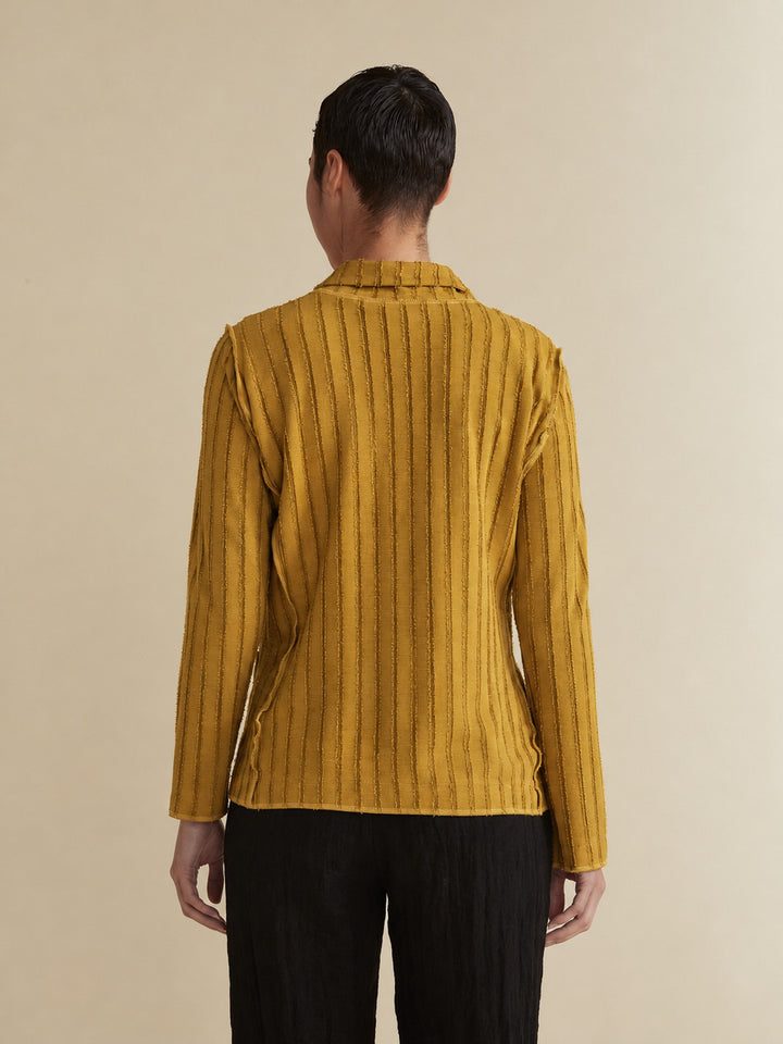 Cut Loose Frayed Stripe Fitted Blazer in Brass, back view on model